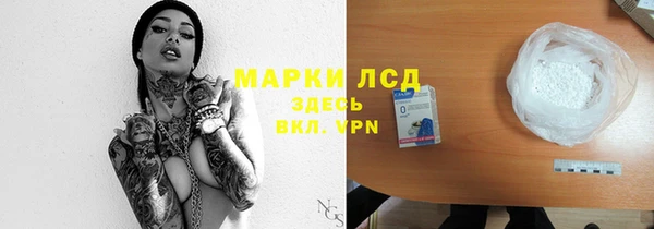 гашик Аркадак