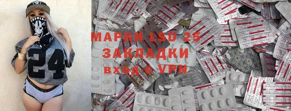 гашик Аркадак