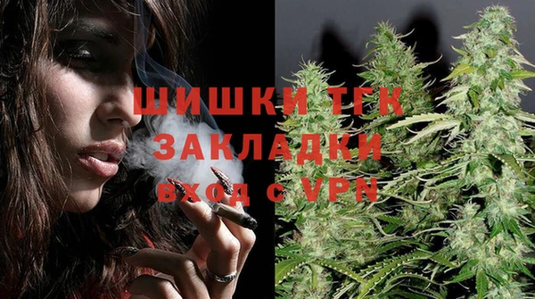 гашик Аркадак
