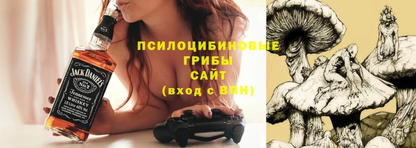 ECSTASY Армянск